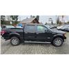 Image 8 : DUNCAN - 2013 FORD F-150 BLACK 247254 KMS - DE25766