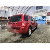 Image 14 : PARKSVILLE - 2008 FORD ESCAPE, RED, 300656 KMS, FRONT WHEEL DRIVE. - DB11634