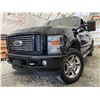 Image 1 : PARKSVILLE - 2008 FORD F-350 BLACK 312886 KMS - DC77530