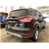 Image 14 : PARKSVILLE - 2013 FORD ESCAPE BLACK 182913 KMS - BA76004
