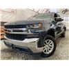 Image 1 : PARKSVILLE - 2020 CHEVROLET SILVERADO GREY 174171 KMS - D352893