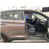 Image 36 : PARKSVILLE - 2021 HYUNDAI TUCSON GREY 34801 KMS - D373184