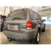 Image 14 : PARKSVILLE - 2005 FORD ESCAPE GREY 260120 KMS - BA91288