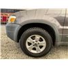 Image 31 : PARKSVILLE - 2005 FORD ESCAPE GREY 260120 KMS - BA91288
