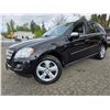 Image 1 : DUNCAN - 2010 MERCEDES-BENZ M-CLASS BLACK 190607 KMS - J571658