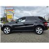 Image 23 : DUNCAN - 2010 MERCEDES-BENZ M-CLASS BLACK 190607 KMS - J571658