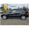 Image 24 : DUNCAN - 2010 MERCEDES-BENZ M-CLASS BLACK 190607 KMS - J571658
