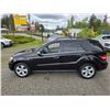 Image 25 : DUNCAN - 2010 MERCEDES-BENZ M-CLASS BLACK 190607 KMS - J571658