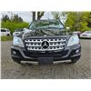 Image 5 : DUNCAN - 2010 MERCEDES-BENZ M-CLASS BLACK 190607 KMS - J571658