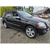 Image 9 : DUNCAN - 2010 MERCEDES-BENZ M-CLASS BLACK 190607 KMS - J571658