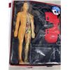 Image 3 : VIRTUAL REALITY HUMAN BODY