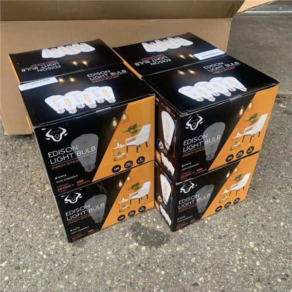 EIGHT BOXES OF BERELLI ST58 4W 2700K E26 STANDARD SOCKET LIGHT BULBS SIX PER BOX RETAIL $200