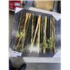 Image 5 : SET OF 3 FRAMED BAMBOO PRINTS