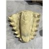 Image 3 : CARVED  HORN AND 2 FOSSILS