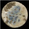Image 2 : 1800s Rare Asia Porcelain Gambling Chip  (COI-1712)