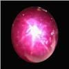 Image 1 : 4.49ct Oval Cabochon Red Star Ruby (GEM-21397)