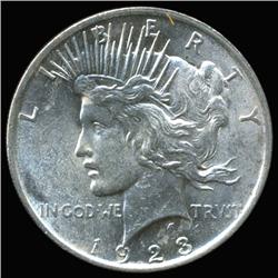1923 Peace Dollar Choice Unc Scarce Variety (COI-6282)
