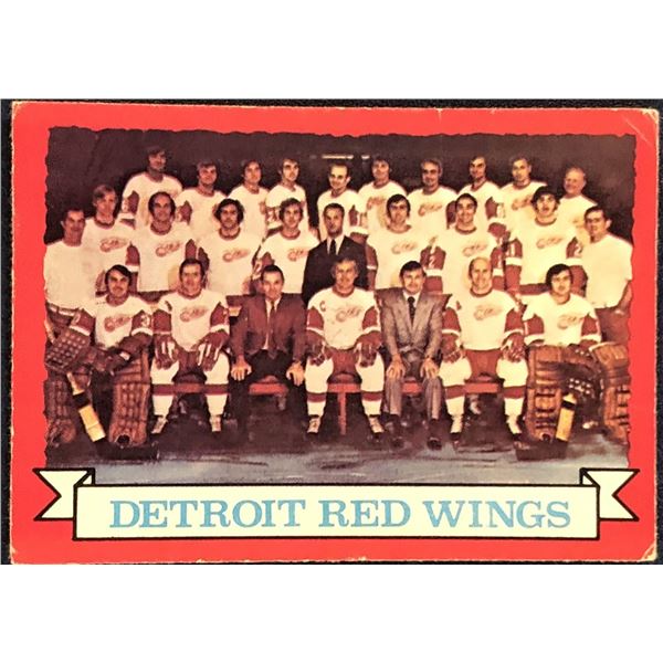 1973-74 O-PEE-CHEE DETROIT RED WINGS