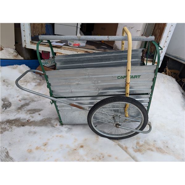 raytech CAF-CART 43"x15"x34"