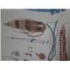 Image 6 : Lot of Jewelry. (Necklace, Earings, etc.)