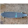 Image 1 : Quest Brand 41" Long Board