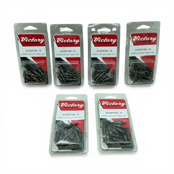 Victory Archery Screw-In 22 Field Point, 100 Grain, 12 Pack X 6 Qty