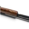 Image 9 : Cooey Model 60 Bolt Action Rifle 22S/L/LR 24" Barrel Wood Stock