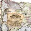 Image 3 : Canadian Military Desert Camo Plate Carrier, Size: Large Short