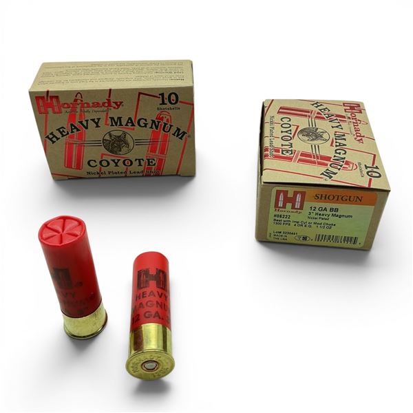 Hornady Shotgun 12 Ga 3" Heavy Magnum Nickel Plated BB Ammunition, 20 Rounds