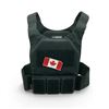 Image 1 : Warrior Assault Systems Covert Plate Carrier