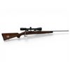 Image 1 : Savage Model 14 Stainless Bolt Action Rifle .243 Win 22" Barrel Wood Stock With Vortex 4-12X44 Scope