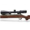 Image 4 : Savage Model 14 Stainless Bolt Action Rifle .243 Win 22" Barrel Wood Stock With Vortex 4-12X44 Scope