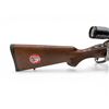 Image 6 : Savage Model 14 Stainless Bolt Action Rifle .243 Win 22" Barrel Wood Stock With Vortex 4-12X44 Scope