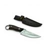 Image 2 : Fixed 4.5" Blade Knife with Wooden Handle and Belt Sheath, New