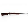 Image 1 : TOZ-8-01 Single Shot Bolt Action Rifle .22LR 25" Barrel Wood Stock