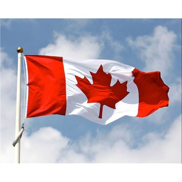 Canadian Bidders With No PAL (Firearms Licence)