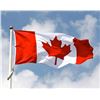 Image 1 : Canadian Bidders With No PAL (Firearms Licence)