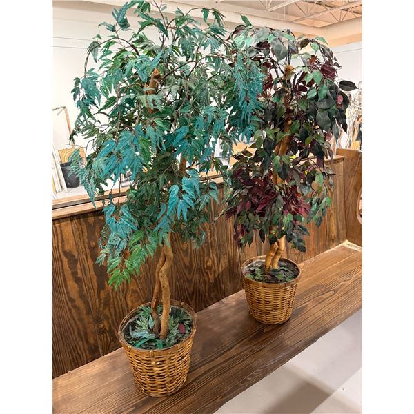 Two 47" Tall Imitation Trees in Wicker Pots