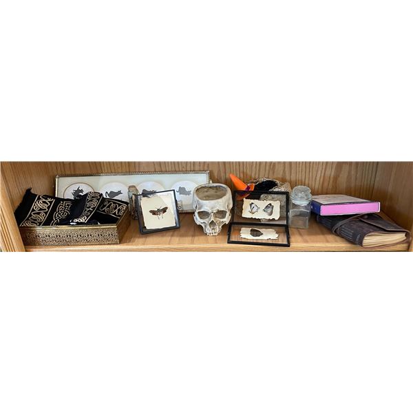 Shelf Lot of Occult Set Decoration Items (Leather bound note book, new emergency cadaver bag, resin 