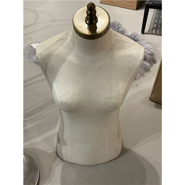 Female Torso Mannequin