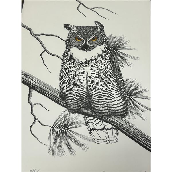 Signed John Paul Lavand Great Horned Owl VII With COA 436/500 approx: 20.25x17"