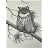 Image 1 : Signed John Paul Lavand Great Horned Owl VII With COA 436/500 approx: 20.25x17"