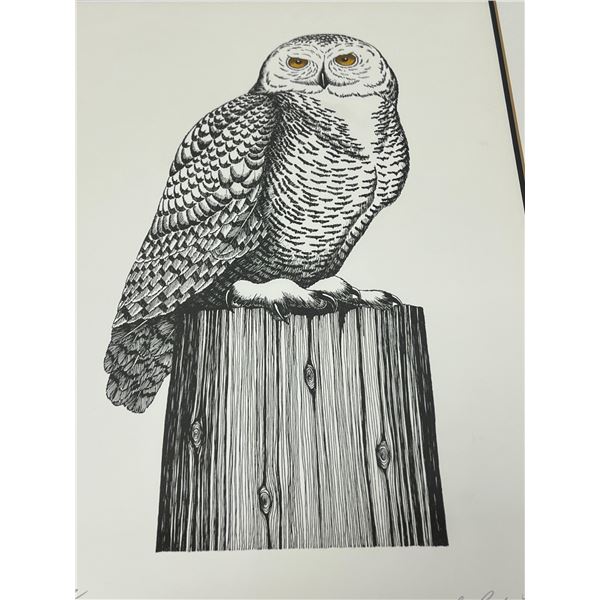 Signed John Paul Lavand Snowy Owl III With COA 437/500 approx: 20.25x17"