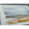 Image 4 : Paul Panton Watercolour - Smaller Frame approx: 12x14.25"