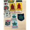 Image 3 : Vintage Boy Scouts Pins / Cloth Badges - see all photos