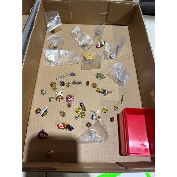 Collectible pins