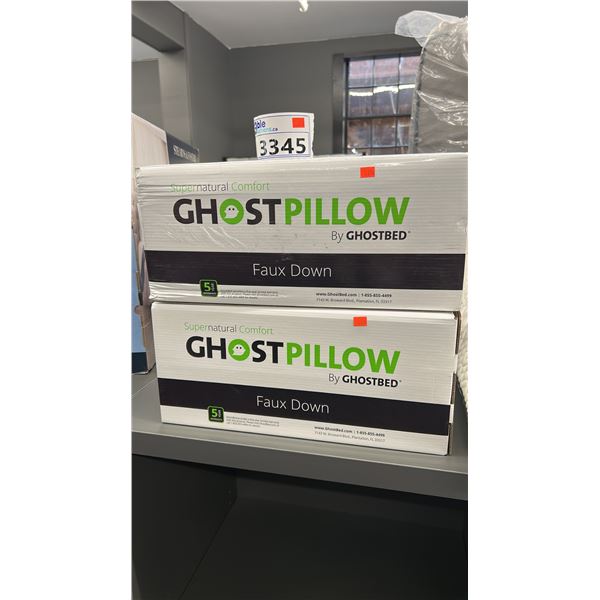 2 X FAUX DOWN GHOST PILLOWS