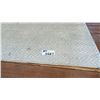 Image 2 : 10' X 7'8" SURYA BIRDIE CARPET