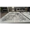 Image 3 : HOTSPRINGS HIGHLIFE VANGUARD 6 SEAT HOT TUB. 42 JETS, 375 GALLONS, SPA APP W/ CONNECTED SPA KIT,