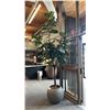 Image 1 : SUNPAN FURNITURE 10' FAUX TREE IN POT